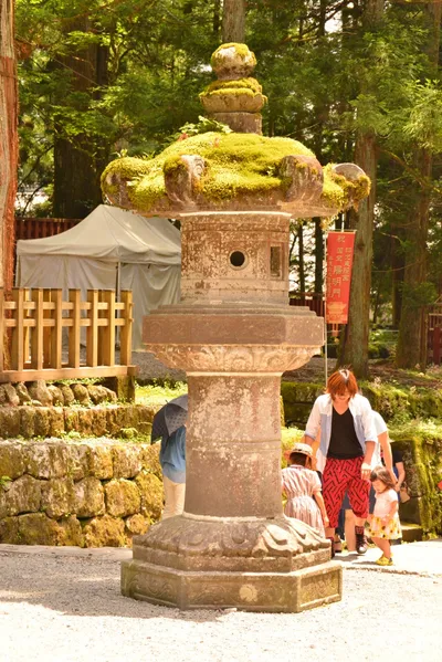 DSC_3848 (Large).JPG